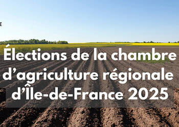 Photo de Élections de la Chambre d'agriculture de Région Ile-de-France 2025